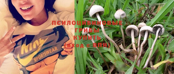 соль курить ск Покачи