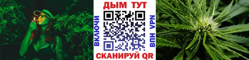 Канабис индика Кострома